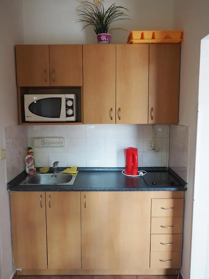 Apartmán Borůvka Špindlerŭv Mlýn