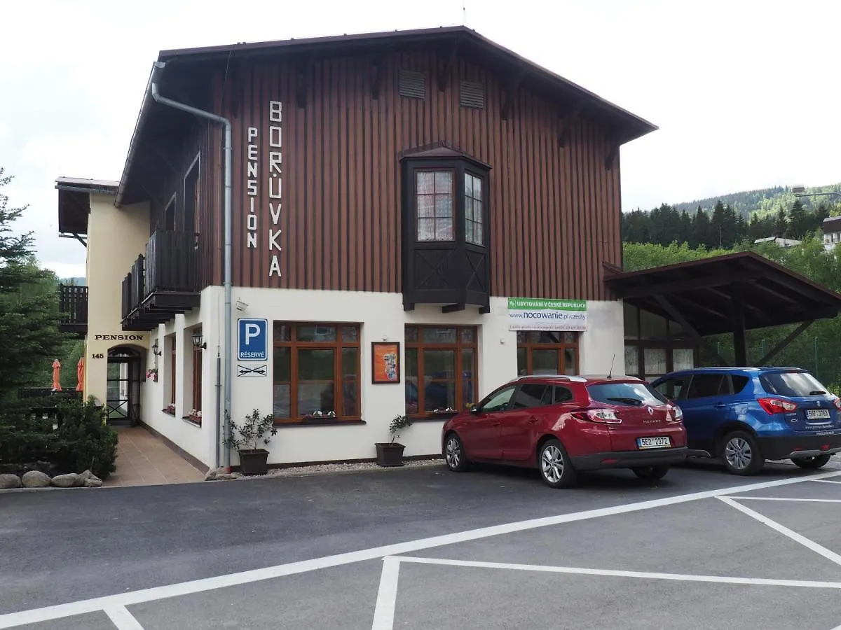 Apartman Boruvka Spindleruv Mlyn