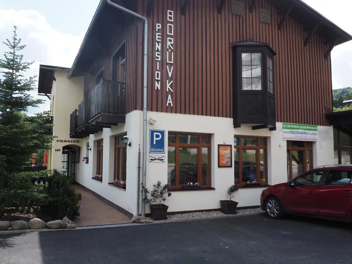 Apartmán Borůvka Špindlerŭv Mlýn 0*,